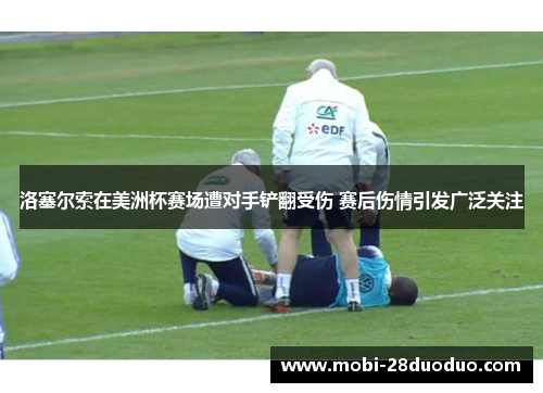 洛塞尔索在美洲杯赛场遭对手铲翻受伤 赛后伤情引发广泛关注