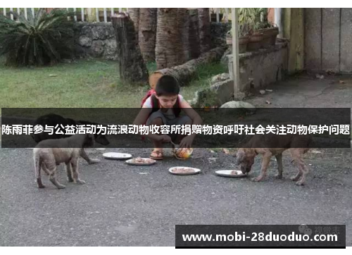陈雨菲参与公益活动为流浪动物收容所捐赠物资呼吁社会关注动物保护问题