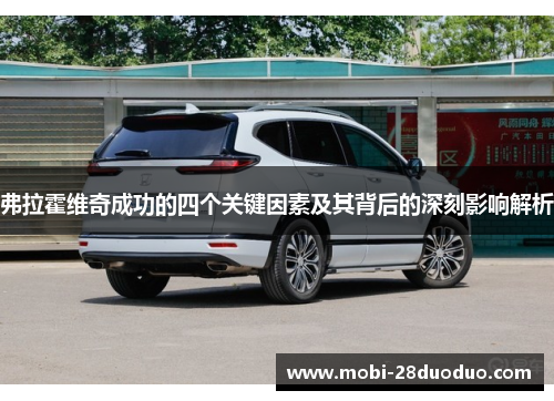 弗拉霍维奇成功的四个关键因素及其背后的深刻影响解析