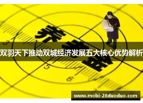 双羽天下推动双城经济发展五大核心优势解析